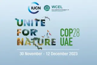 WCEL at COP28