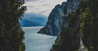 media thumbnail