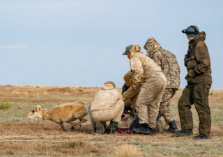bridging-the-gap-leveraging-animal-movement-and-mapped-migration-routes