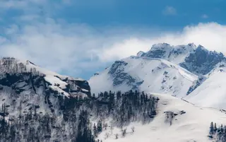 Himalaya, India, adaptation, ecosystem, mountain, range