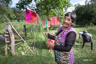 woman with plant in hand looking at camera