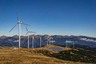 Embedding nature into the energy transition is key.