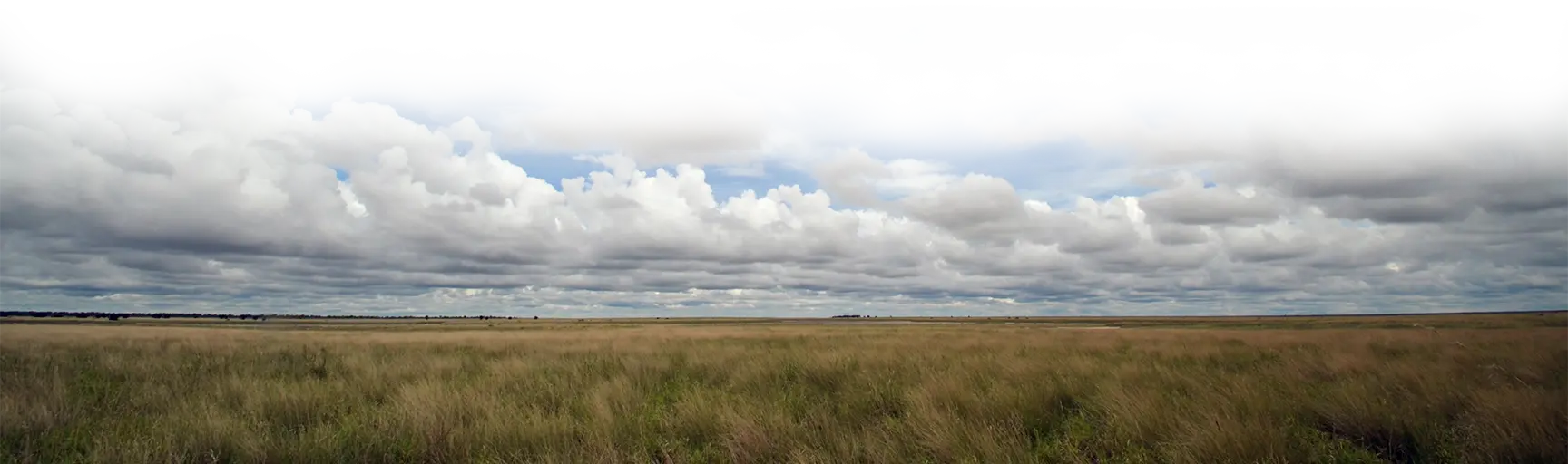 footer-prairie