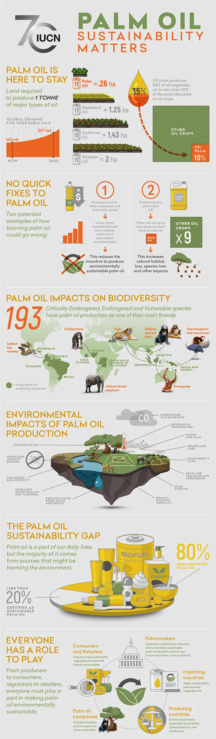 Oil palm and biodiversity infographic