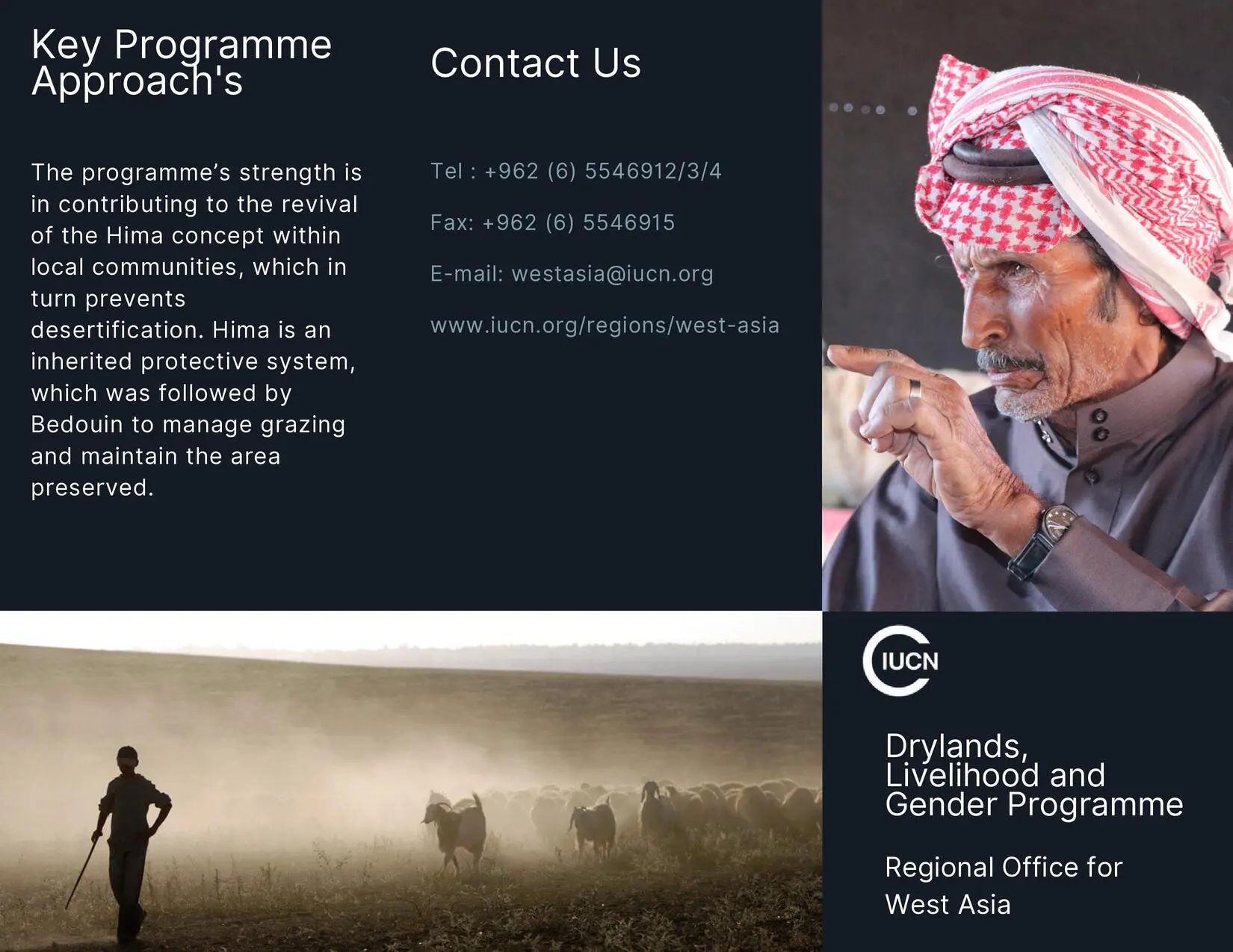 Drylands, Livelihood and Gender Programme Brochure
