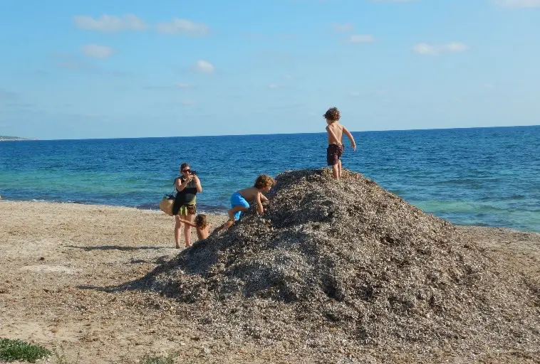 Posidonia beach Formentera