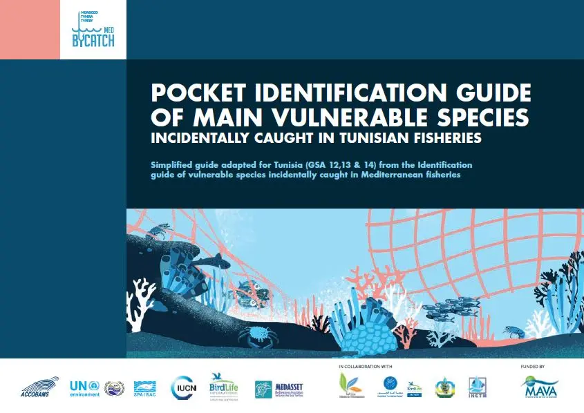 tunisia-vulnerable-marine-species-fisheries-bycatch-pocket-english