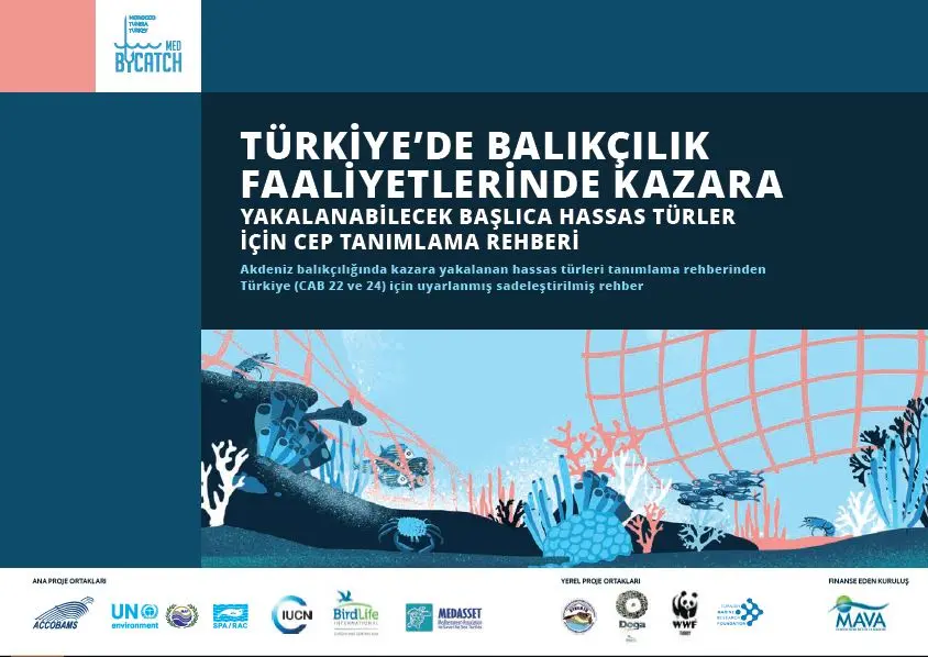 turkey-vulnerable-marine-species-fisheries-bycatch-pocket-turkish
