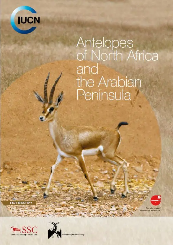 Antelopes of North Africa and the Arabia