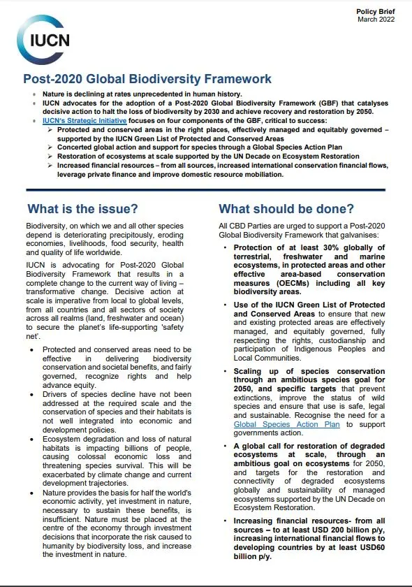 Policy brief thumbnail post-2020 GBF