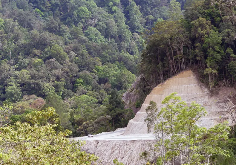 Road development in the Tropical Rainforest Heritage of Sumatra, Indonesia