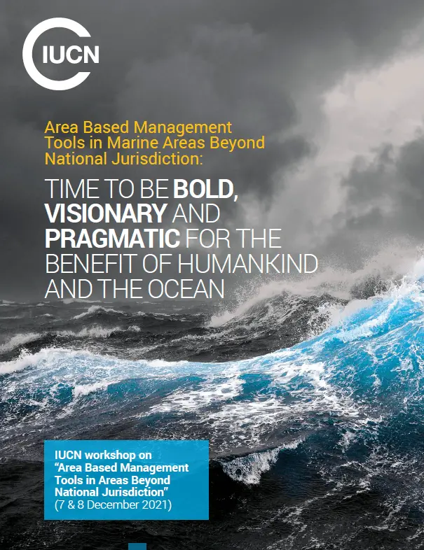 Area-Based Management Tools in Marine Areas Beyond National Jurisdiction
