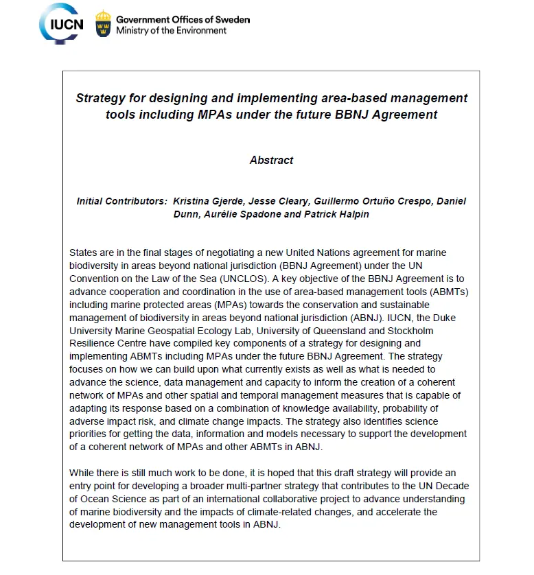 Strategy for designing and implementing area-based management tools including MPAs under the future BBNJ Agreement