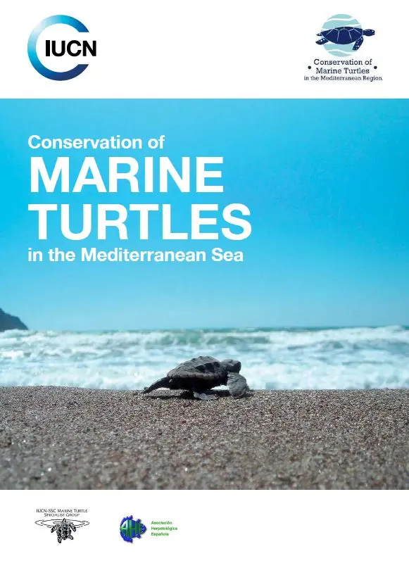 conservation of marine turtles in the Mediterranean Sea 