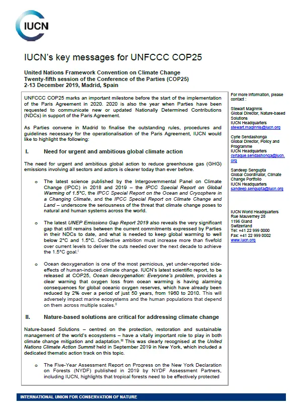 position paper UNFCCC COP 25