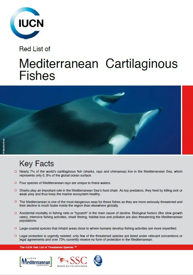 Red List of Mediterrranean Cartilaginous Fishes 