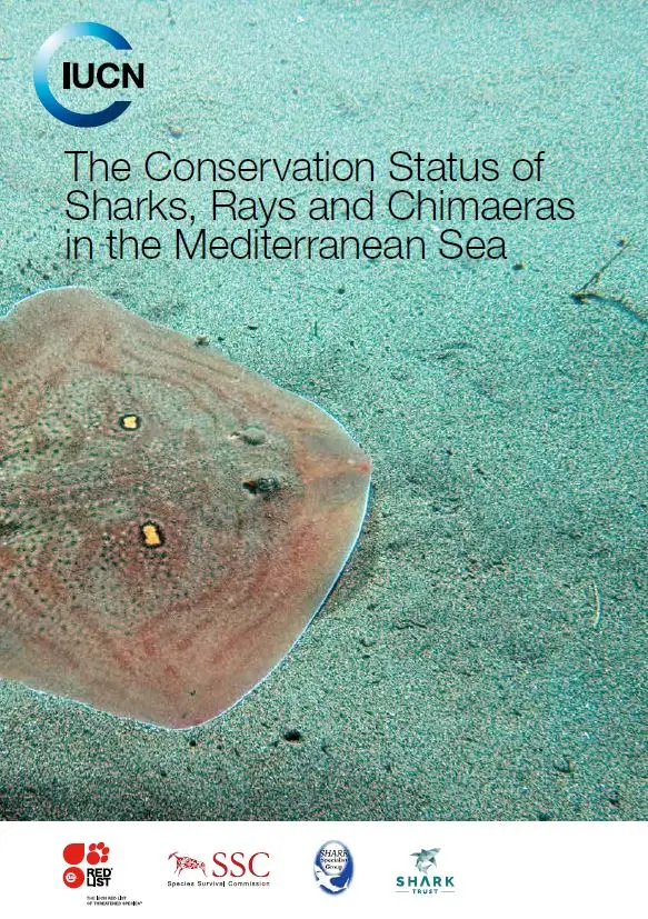 The conservation Status of Sharks, Rays and Chimaeras in the Mediterranean Sea