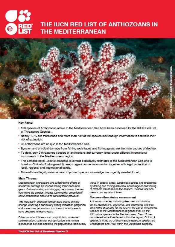 The IUCN Red List of Anthozoans in the Mediterranean pic
