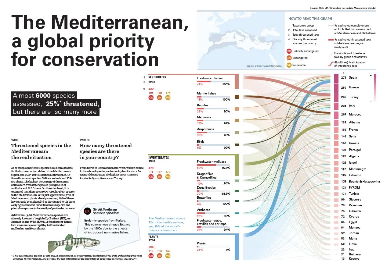The Mediterranean, a global priority for conservation 
