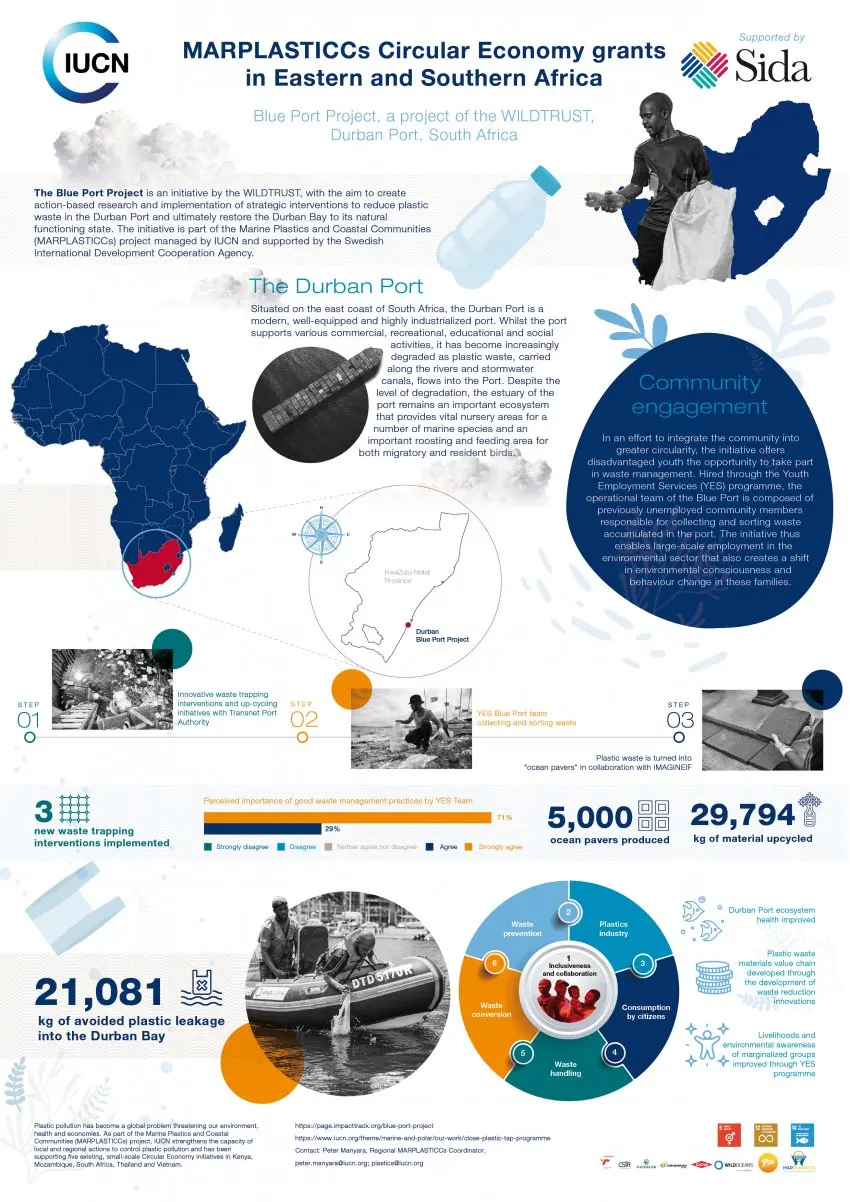 MARPLASTICCs South Africa Infographic cover