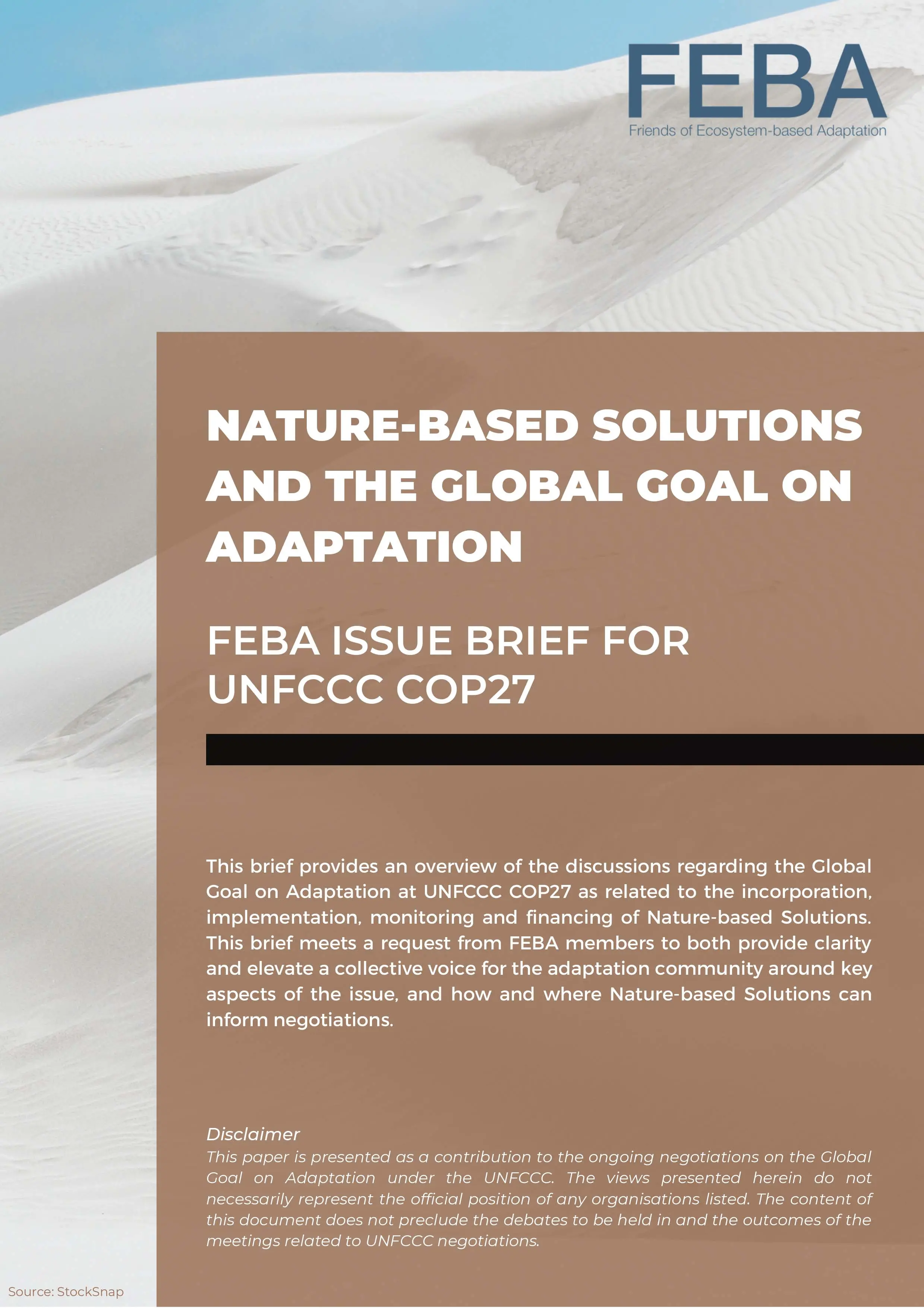 feba-issue-brief-on-nbs-and-the-gga-for-cop27-1.jpg
