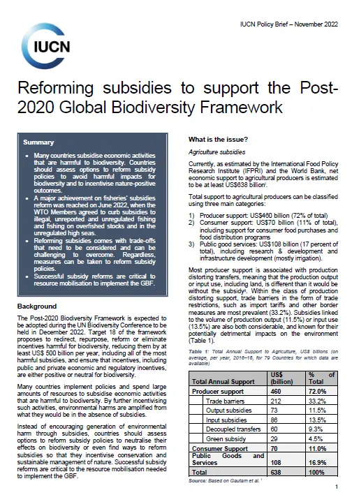 reforming subsidies for the GBF-policy brief