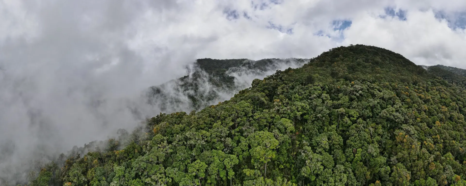 los-quetzales-national-park-costa-rica-c-kyle-pearce-on-unsplash.jpg