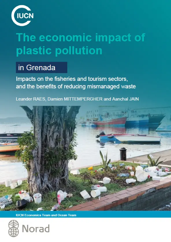 plastic pollution cover-page-econ-brief-grenada.png