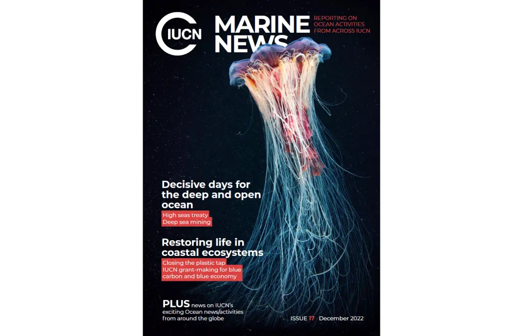 Marine News 2022 cover image