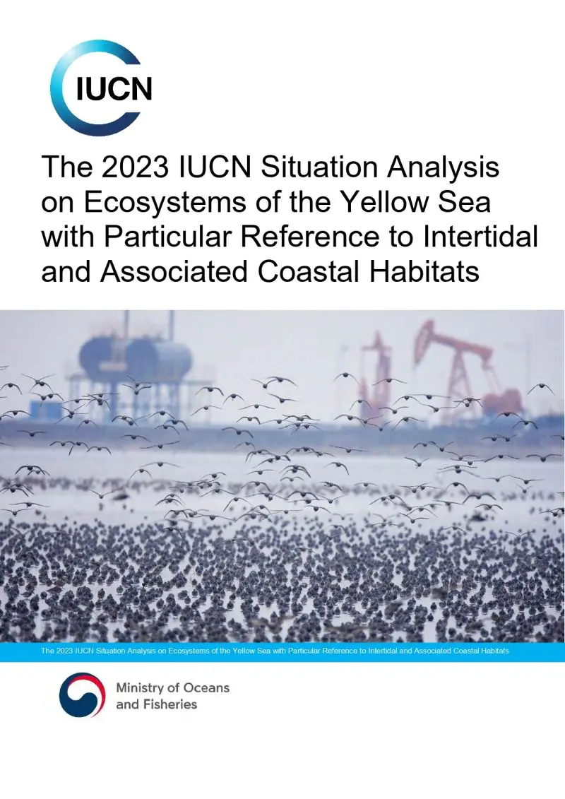 situational analysis 2023 cover page