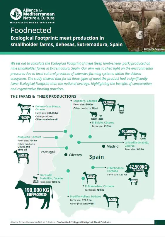 Ecological Footprint: meat production in smallholder farms, dehesas, Extremadura, Spain