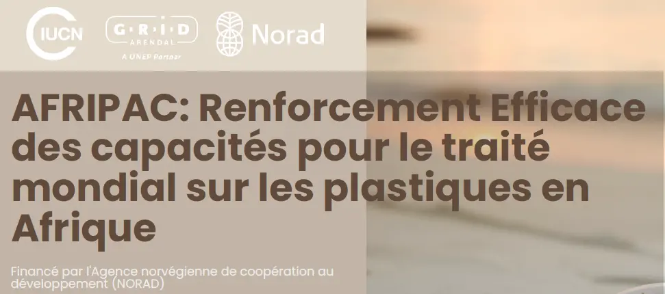 Afripac FR cover one pager