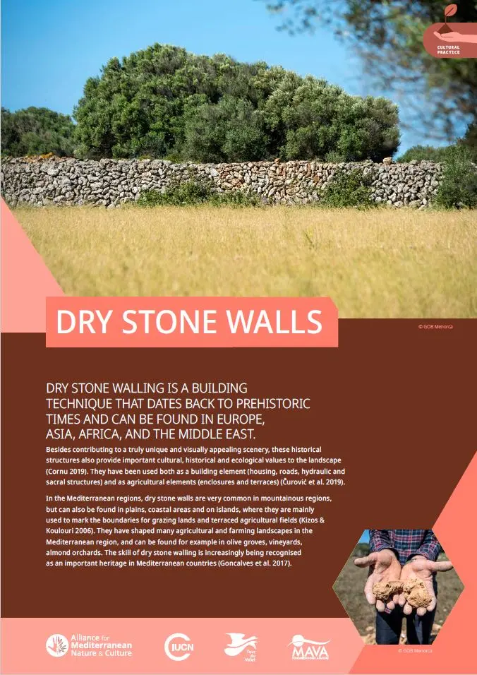 Practice Dry Stone Walls cover