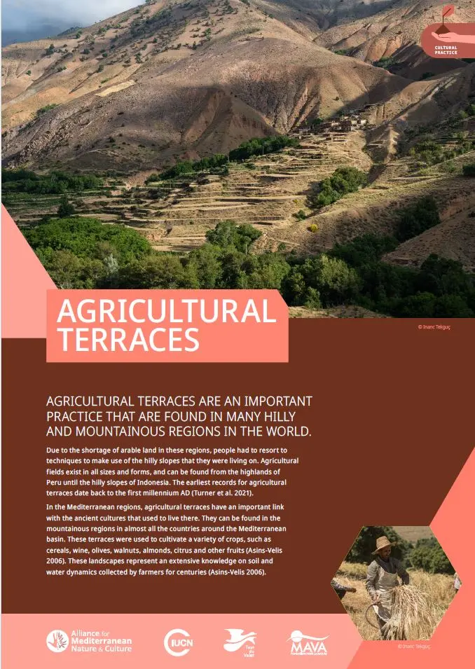 Practice agriculture terraces cover