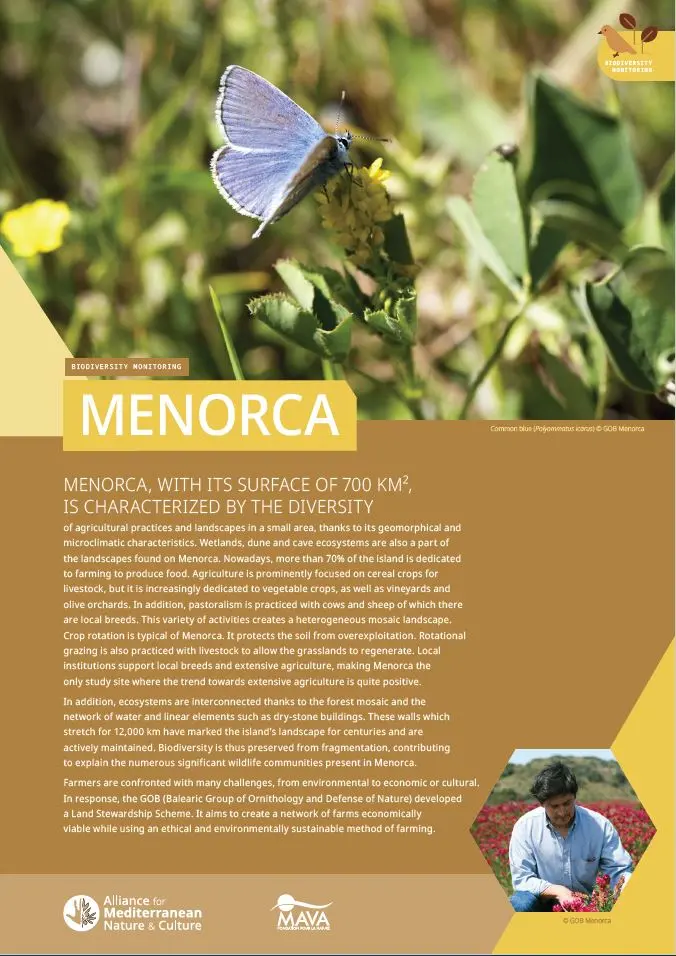 Methodology Menorca
