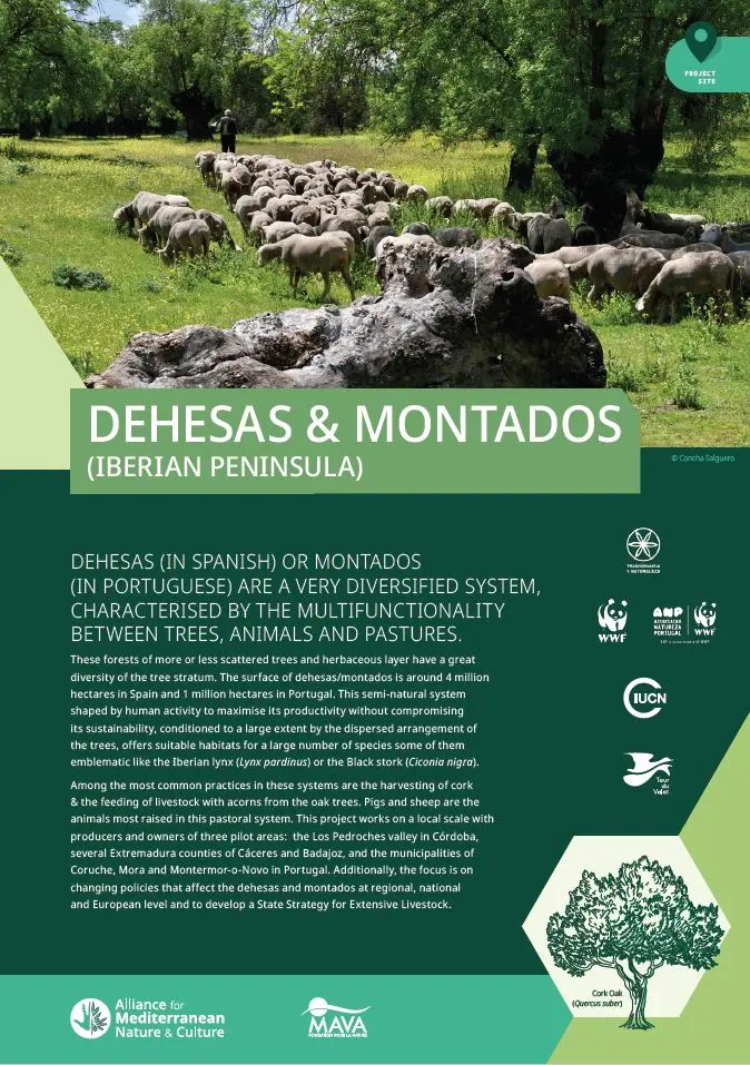 Site Dehesas & Montados (Iberian Peninsula) cover