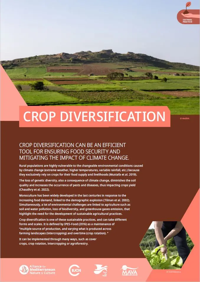 Practice crop diversification cover