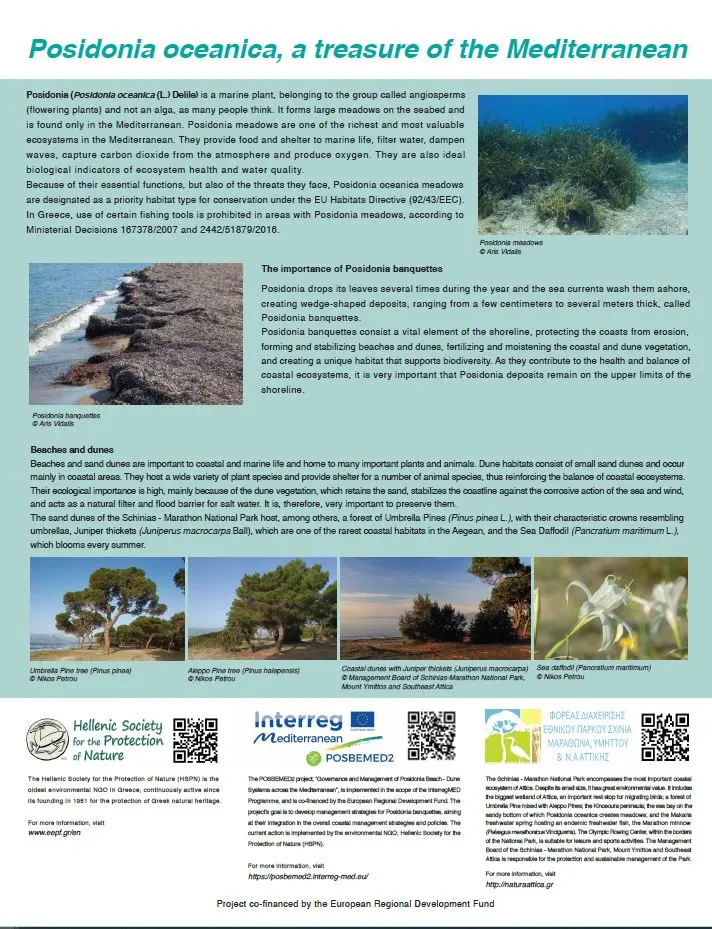 Beach information panel for Sxinias