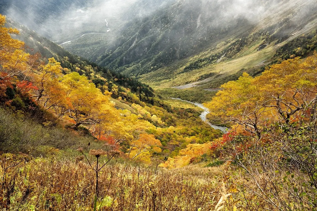 Hokkaido autumn valley