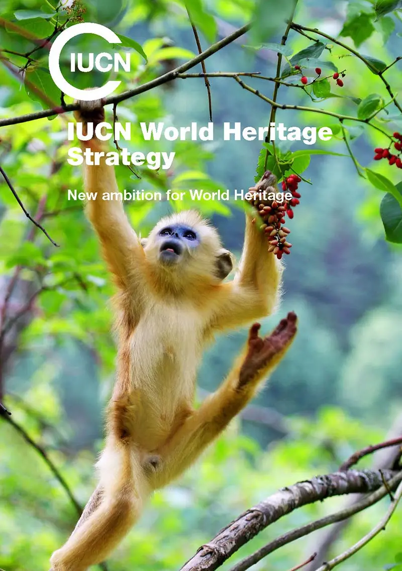 World Heritage Strategy cover image