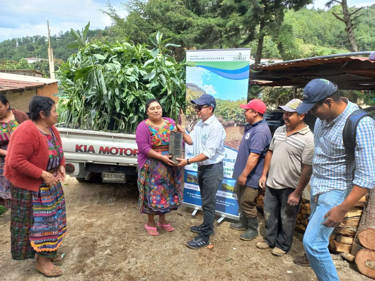 La Asociación Tikonel realiza una entrega de plantas a productores en la comunidad de Panabajal, municipio de Tecpán, Chimaltenango