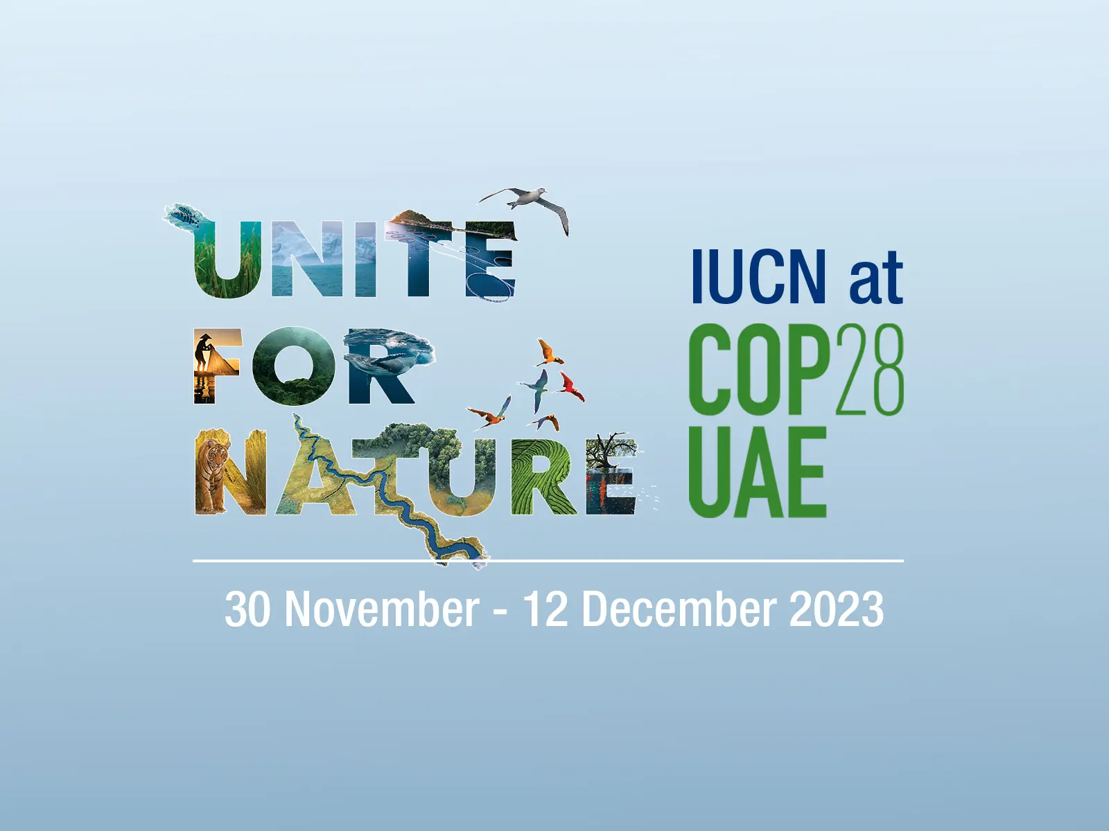 IUCN at COP 28 UAE
