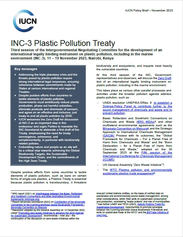 INC-3 Plastic Pollution Treaty Policy Brief - thumbnail