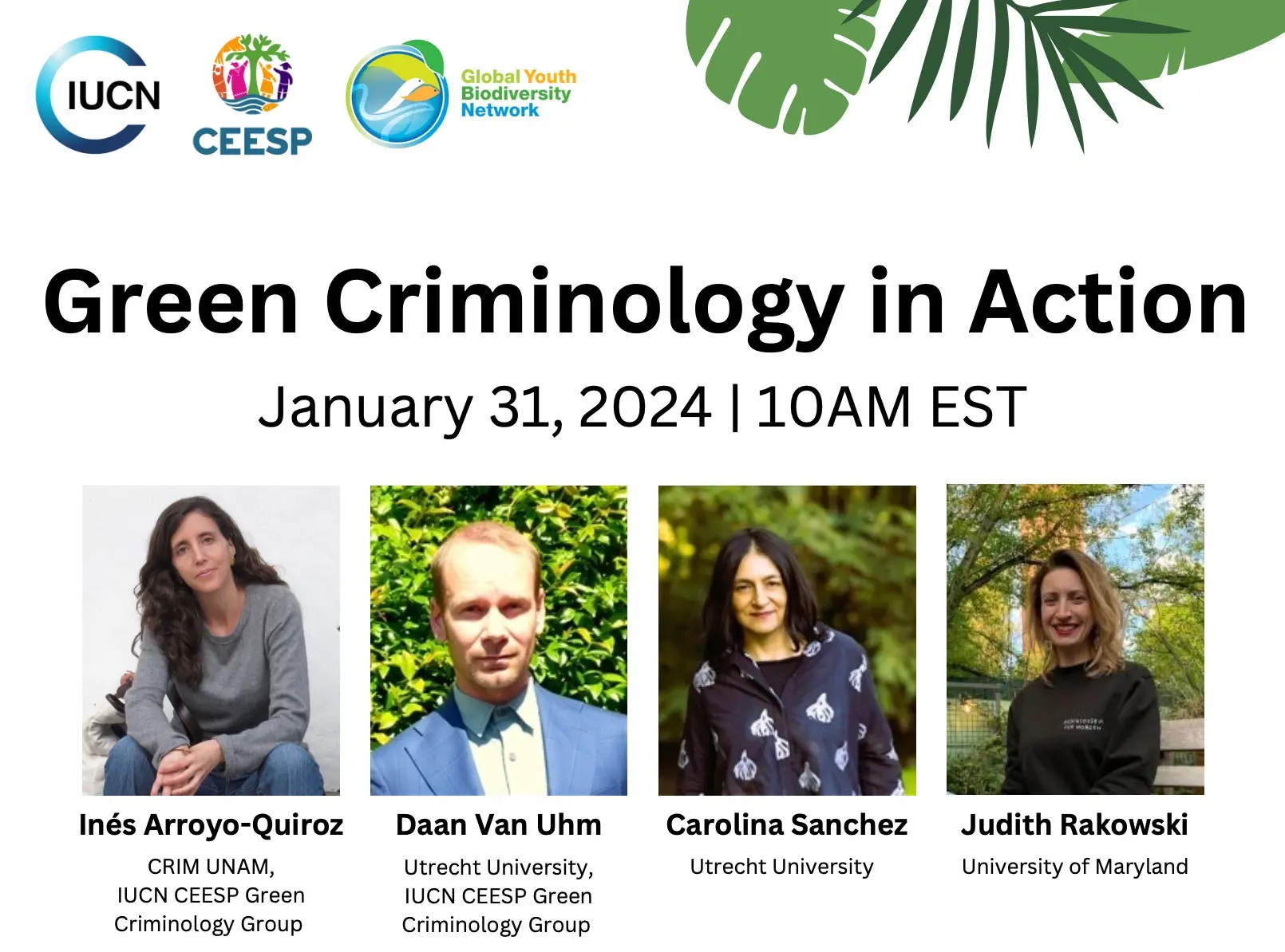 Green Criminology in Action