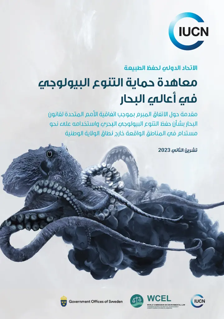 IUCN high seas treaty policy brief cover - Arabic