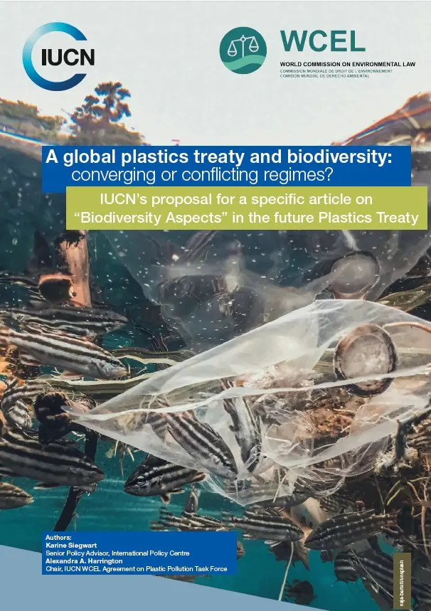policy-brief-plastics-treaty-and-biodiversity-march-2024-thumbnail.jpg