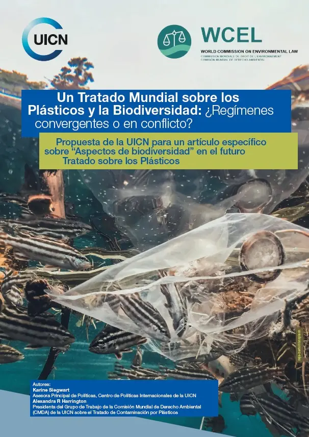policy-brief-plastics-treaty-and-biodiversity-march-2024-thumbnail-sp.jpg