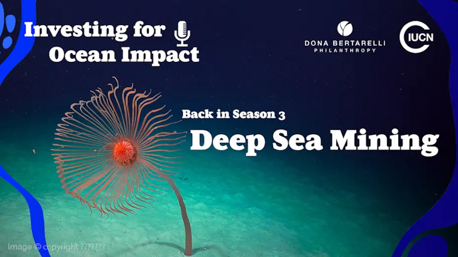 Investing for Ocean Impact, Season 3: Deep Sea Mining