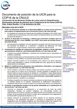 COP16-positionpaper-thumb-ES