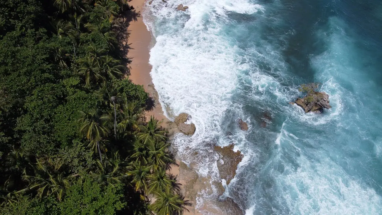 Caribe de Costa Rica